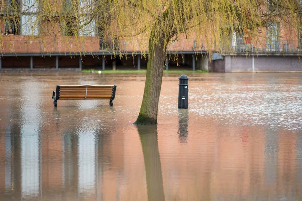 Flooded Park